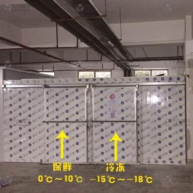 冷库设备安装 蛋类保鲜冷库 速冻库工程设计 智能控温